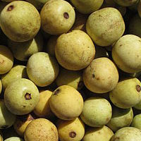 Marula Oil - Marula Oil Skin Benefits