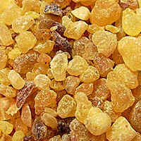 Frankincense Oil - Frankincense Oil Benefits | Blue Labelle