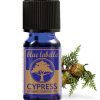 Organic cypress essential oil, cypress oil