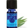 Organic Eucalyptus Essential Oil