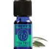 Tea Tree Oil - Organic Tea Tree Oil