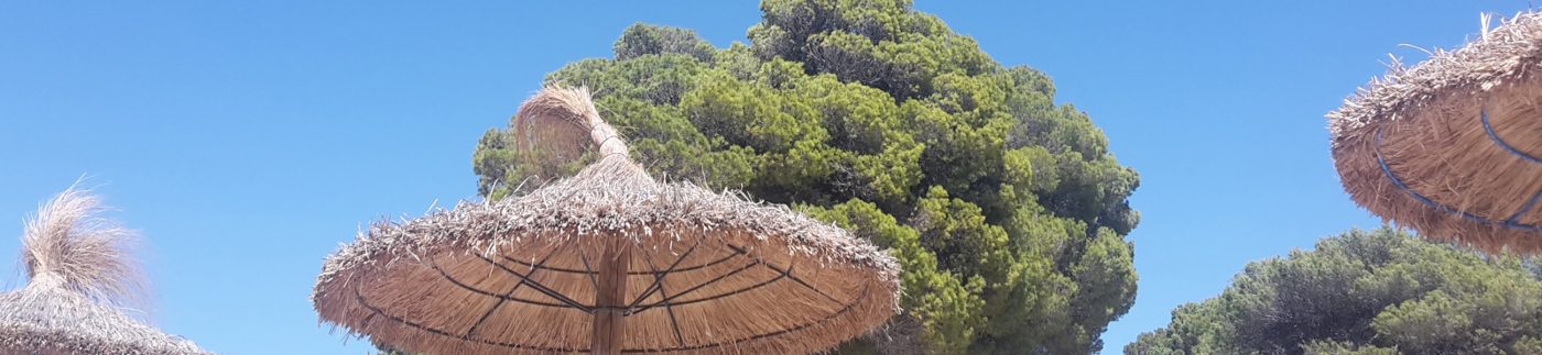 Organic Sunscreen Organic Sun Cream & After Sun