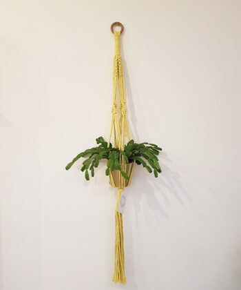 Macramé plant hangers ready to house your favourite house plant, bowls and more. Handmade by Wight Apothecary on the Isle of Wight.