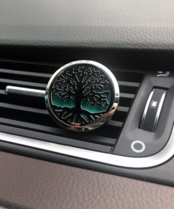 Car diffuser in air grill