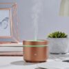 Liv Copper Made by Zen Diffuser